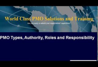 PMO Learning Series PMO types